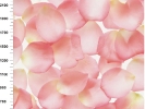 img-shkaf-kupe_43