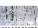 img-kuhni_40